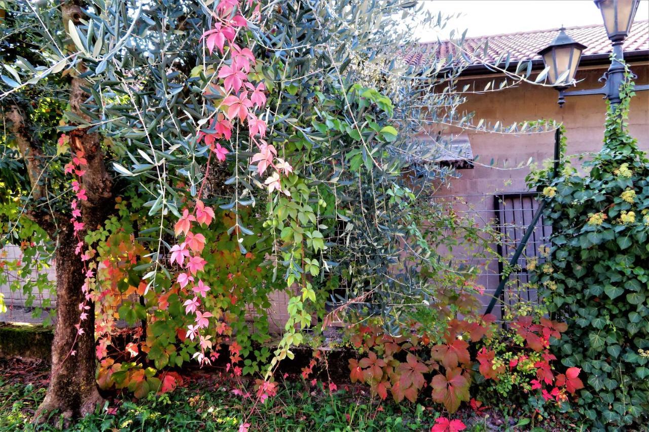Locanda Alla Posta Borso del Grappa Exteriér fotografie